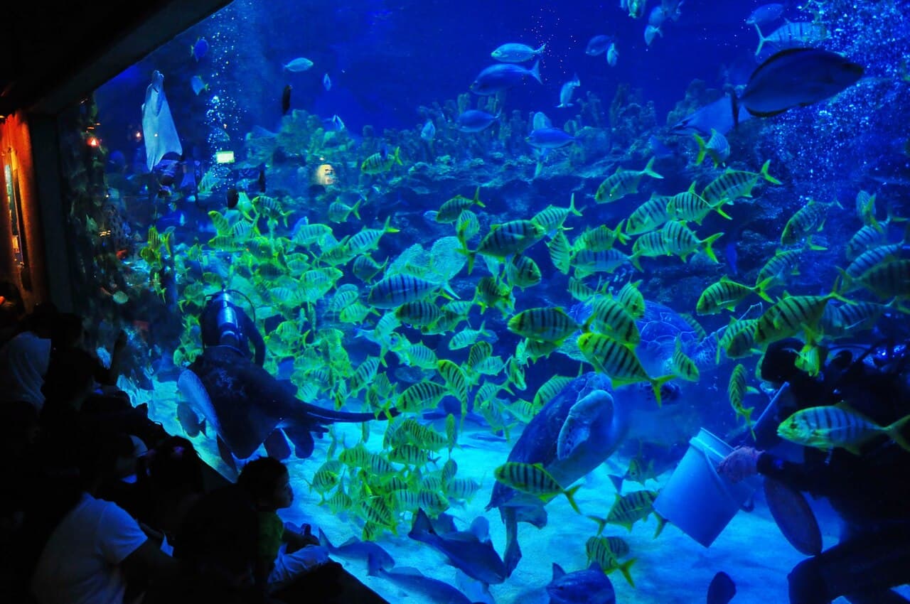 Tangki utama Aquaria KLCC